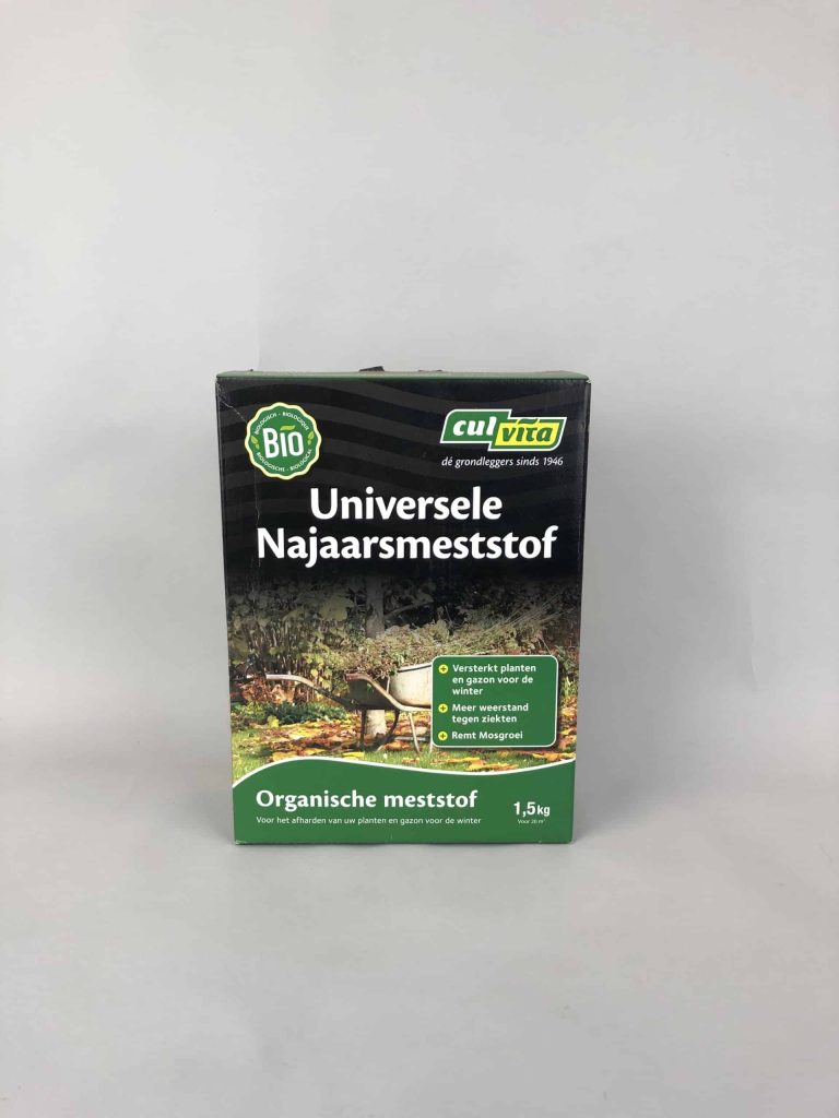 5 tips voor een mediterrane tuin in Nederland