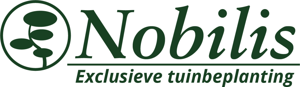 Hoe verzorg je een Japanse esdoorn in de winter?