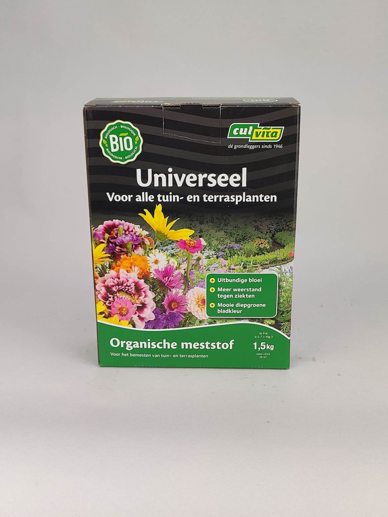 5 tips voor een mediterrane tuin in Nederland